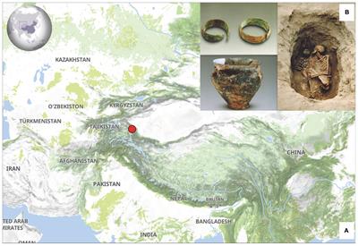 Ancient Mitochondrial Genomes Reveal Extensive Genetic Influence of the Steppe Pastoralists in Western Xinjiang